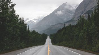 mountains, road, forest Wallpaper 1600x900
