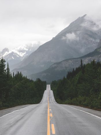 mountains, road, forest Wallpaper 1620x2160