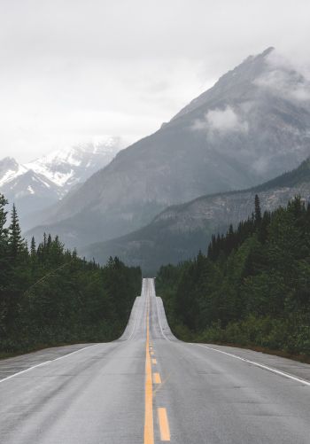 mountains, road, forest Wallpaper 1668x2388