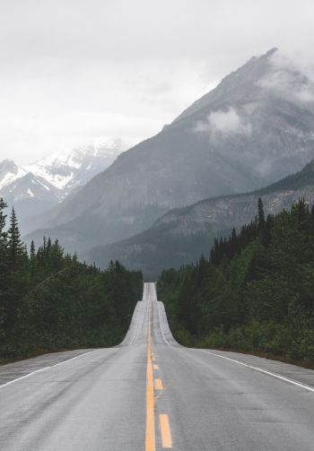 mountains, road, forest Wallpaper 1640x2360