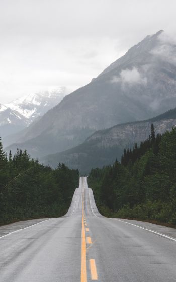 mountains, road, forest Wallpaper 1600x2560