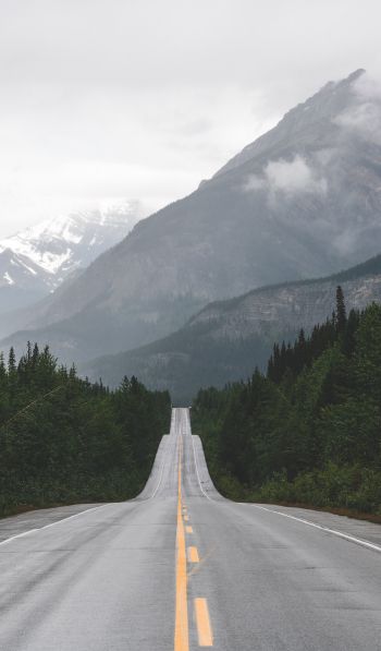 mountains, road, forest Wallpaper 600x1024