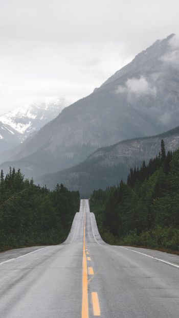 mountains, road, forest Wallpaper 1440x2560