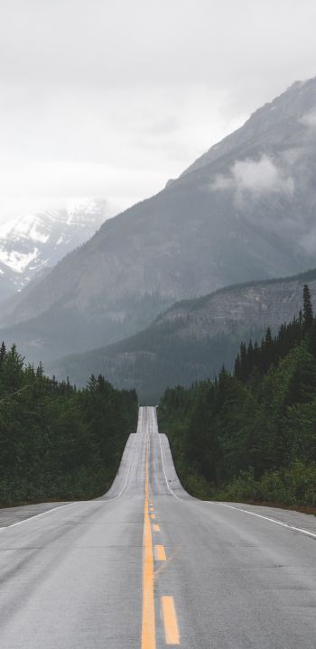 mountains, road, forest Wallpaper 1080x2220