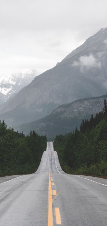 mountains, road, forest Wallpaper 1440x3040