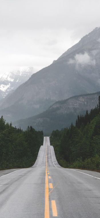 mountains, road, forest Wallpaper 828x1792