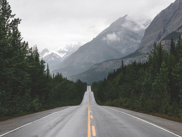 mountains, road, forest Wallpaper 800x600