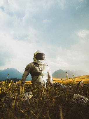 astronaut, field Wallpaper 1620x2160