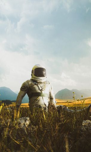 astronaut, field Wallpaper 1200x2000