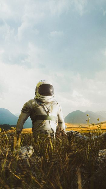 astronaut, field Wallpaper 640x1136
