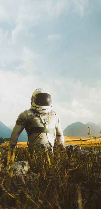 astronaut, field Wallpaper 1080x2220