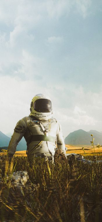 astronaut, field Wallpaper 828x1792