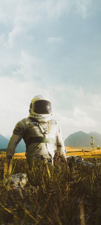 astronaut, field Wallpaper 1080x2400