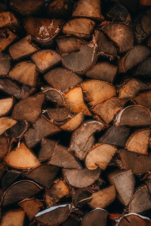 firewood, polennica, tree Wallpaper 4160x6240