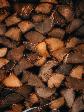 firewood, polennica, tree Wallpaper 1620x2160