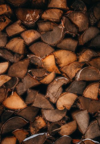 firewood, polennica, tree Wallpaper 1668x2388