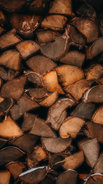 firewood, polennica, tree Wallpaper 1080x1920