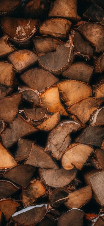 firewood, polennica, tree Wallpaper 1284x2778