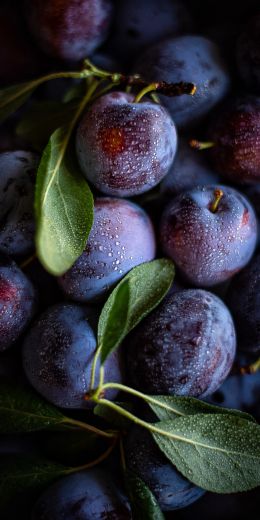 plum, food, aesthetics Wallpaper 720x1440