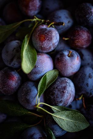 plum, food, aesthetics Wallpaper 640x960