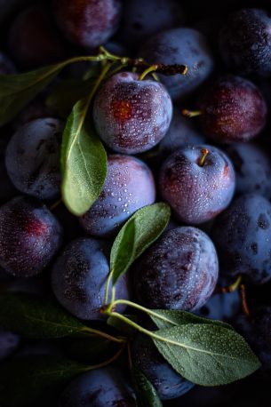 plum, food, aesthetics Wallpaper 2940x4417