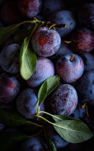 plum, food, aesthetics Wallpaper 1752x2800