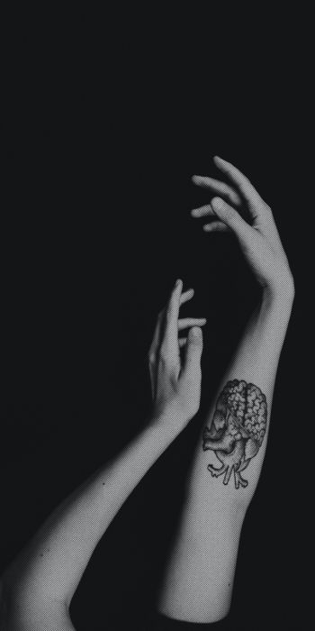 hands, aesthetics, tattoo, black and white photo Wallpaper 720x1440