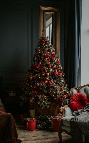 Christmas tree, New Year, holidays Wallpaper 1600x2560