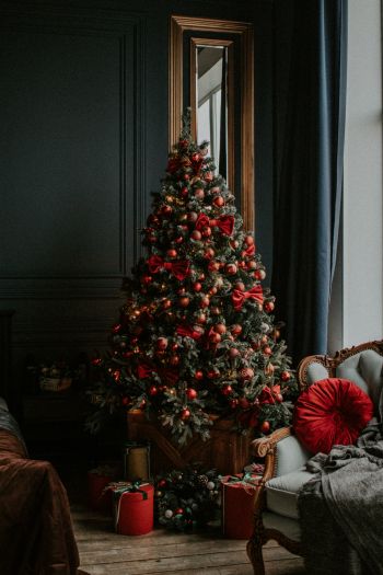 Christmas tree, New Year, holidays Wallpaper 640x960