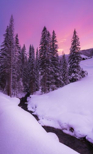 winter, nature, forest Wallpaper 1200x2000