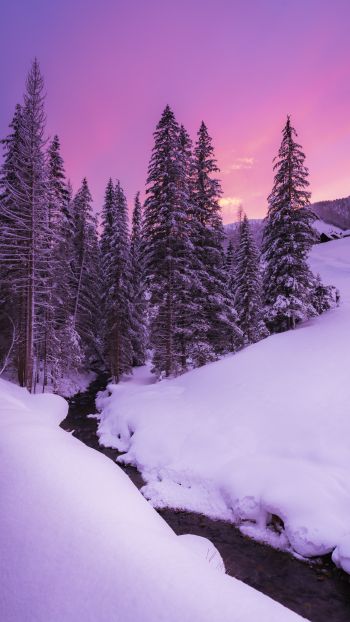 winter, nature, forest Wallpaper 1080x1920
