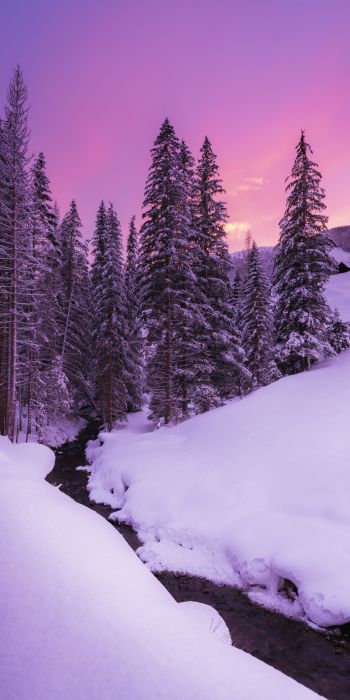 winter, nature, forest Wallpaper 720x1440