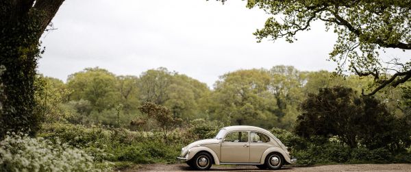 car, tree Wallpaper 3440x1440