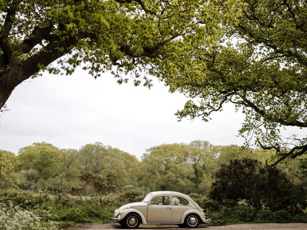 car, tree Wallpaper 800x600