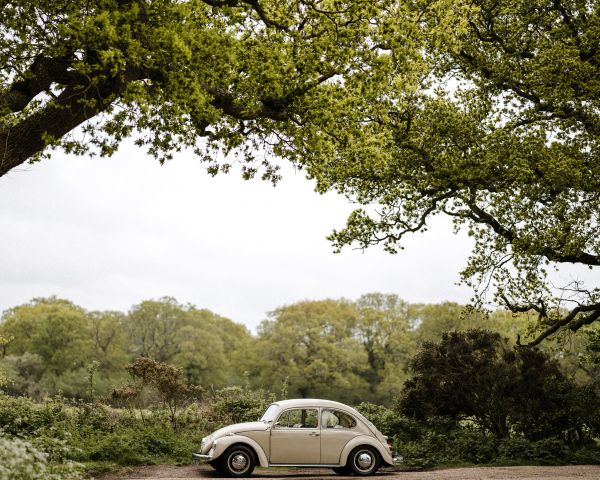 car, tree Wallpaper 1280x1024