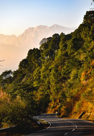 mountains, forest, road Wallpaper 1640x2360