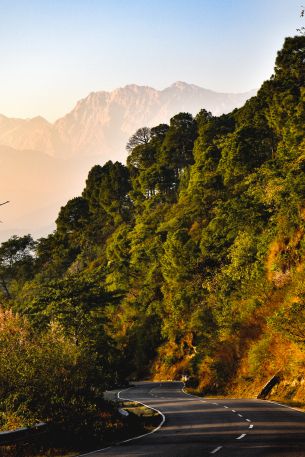 mountains, forest, road Wallpaper 640x960