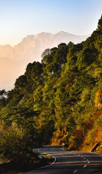 mountains, forest, road Wallpaper 600x1024