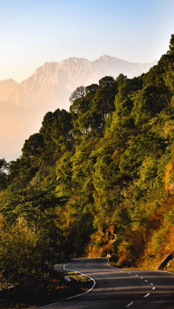 mountains, forest, road Wallpaper 640x1136