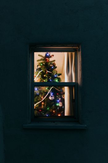Magic, tree, new year Wallpaper 640x960
