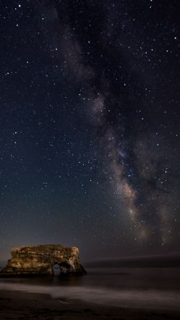 coast, starry night Wallpaper 750x1334