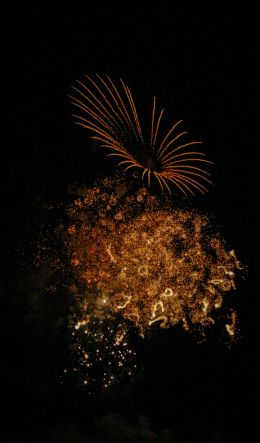 fireworks, night Wallpaper 600x1024
