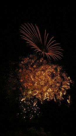 fireworks, night Wallpaper 640x1136