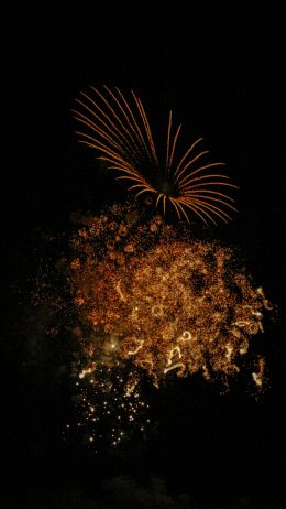 fireworks, night Wallpaper 720x1280