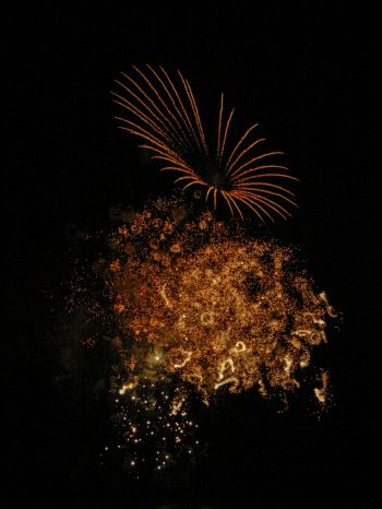 fireworks, night Wallpaper 2048x2732