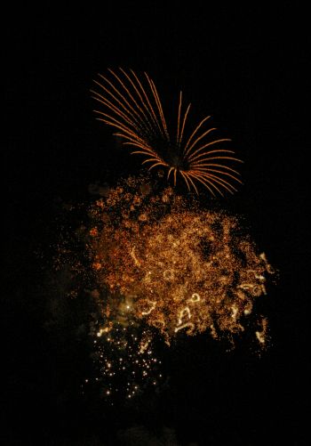 fireworks, night Wallpaper 1668x2388
