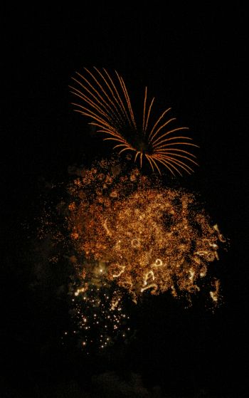 fireworks, night Wallpaper 1752x2800