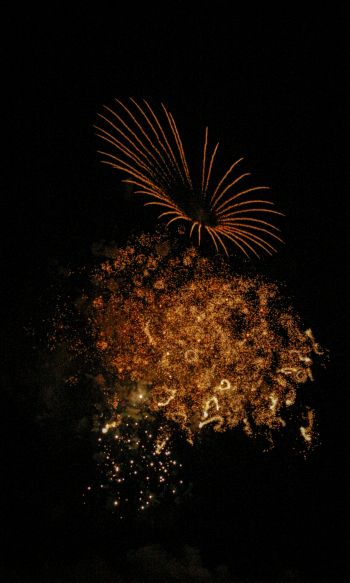 fireworks, night Wallpaper 1200x2000