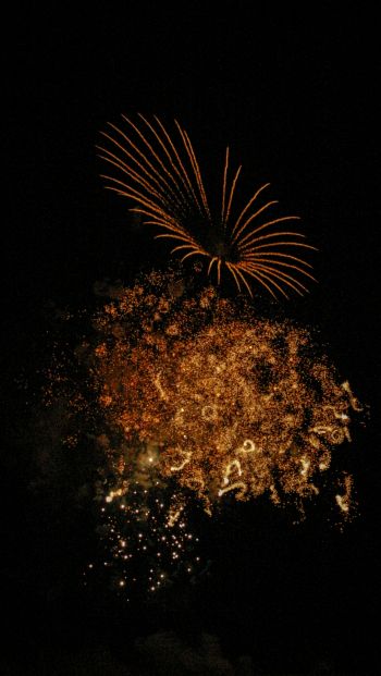 fireworks, night Wallpaper 640x1136