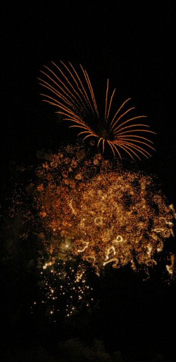 fireworks, night Wallpaper 1080x2220